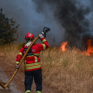 portekiz yanginlarla mucadele ediyor yuzlerce kisi sondurme calismalarinda 1hMXZaV3