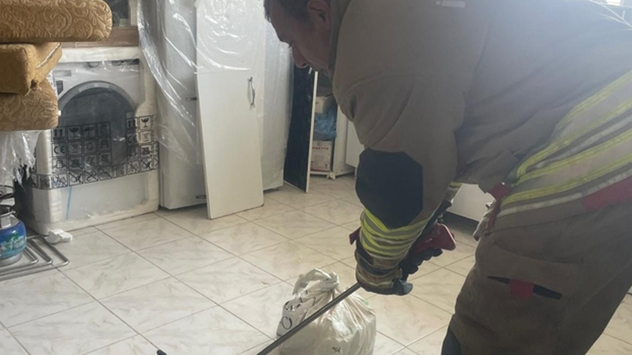 Antakya’da Yılan Panic’i: İtfaiye Ekipleri Hızla Müdahale Etti