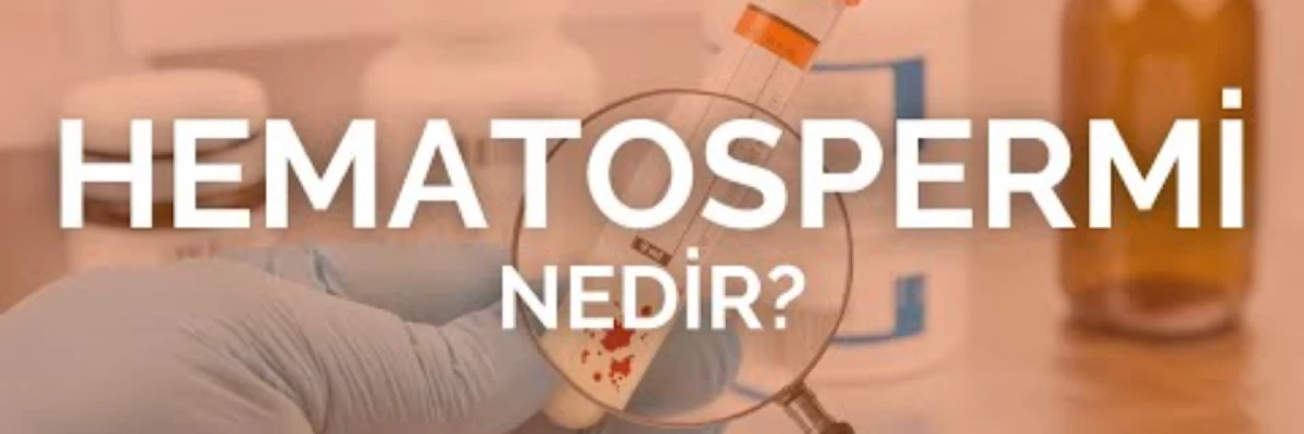 Kanda Sperm Varlığı: Hematosperm Hakkında Bilinmesi Gerekenler