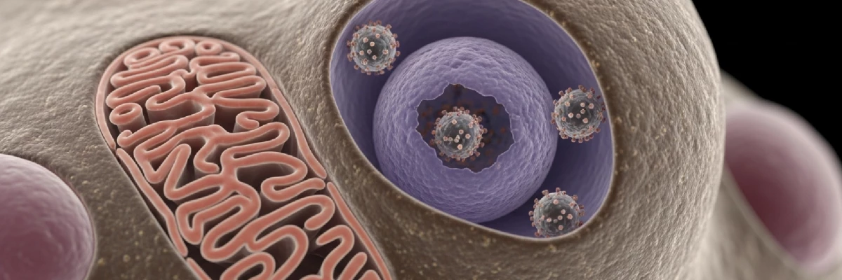 HPV Aşısı: Bilinmesi Gerekenler ve Faydaları