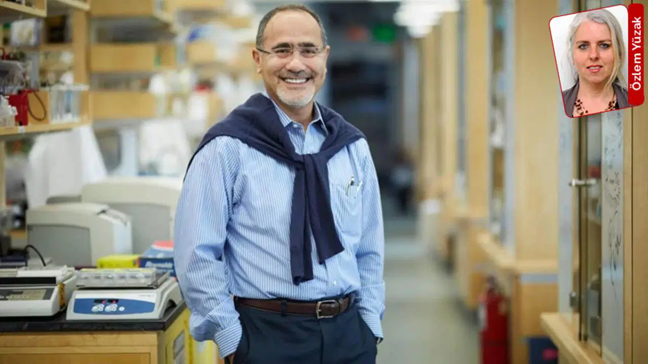 Harvardli prof dr gokhan hotamisligilden glp 1 ilaclari degerlendirmesi hik ye yeni basliyor IFF2bFWR